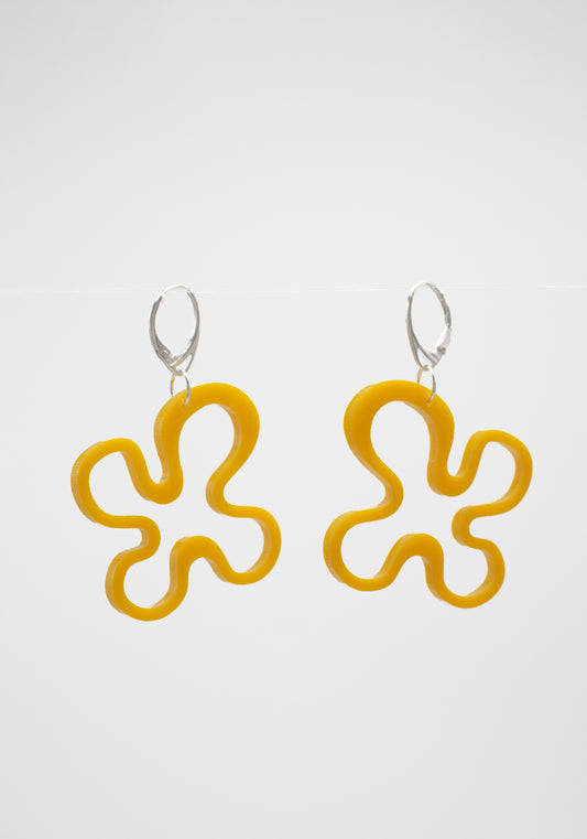 Forget-Me-Not, Mango Yellow